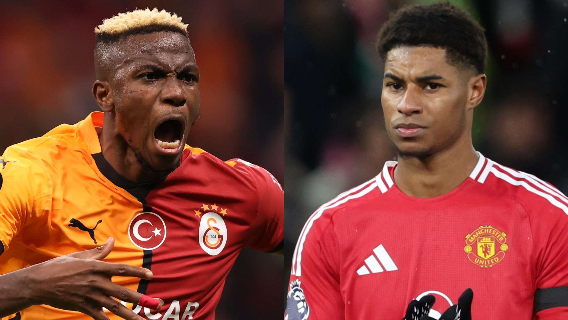 葡萄牙和英 葡萄牙和英