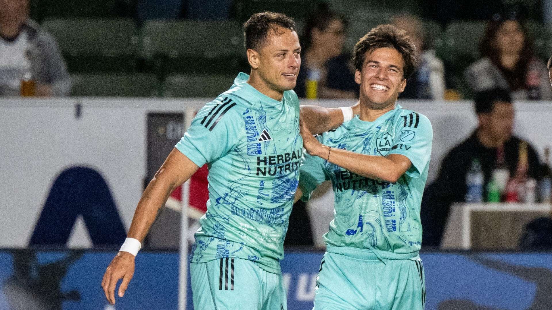 然而可以肯 然而可以肯