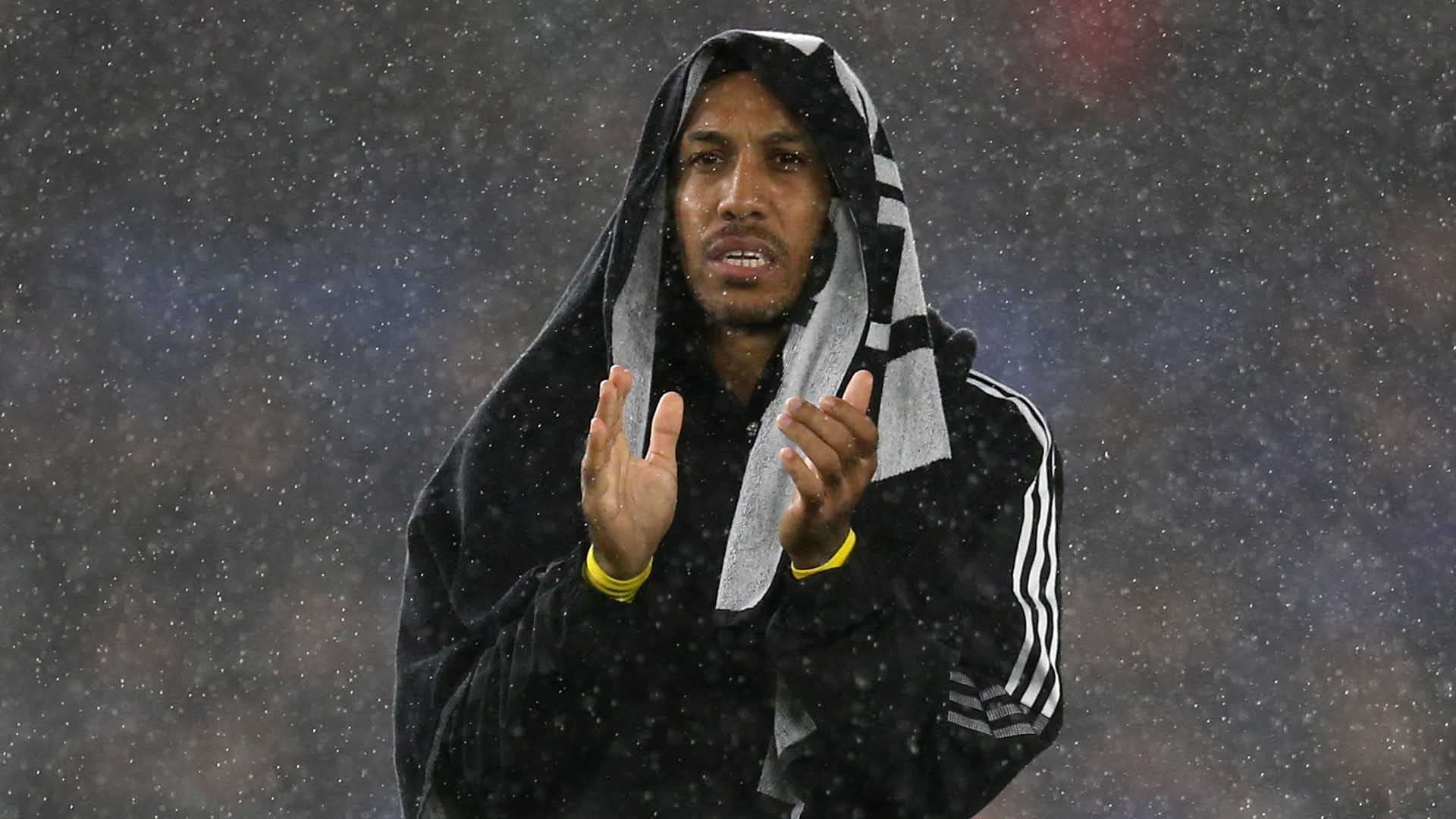 雄鹿队新的 雄鹿队新的