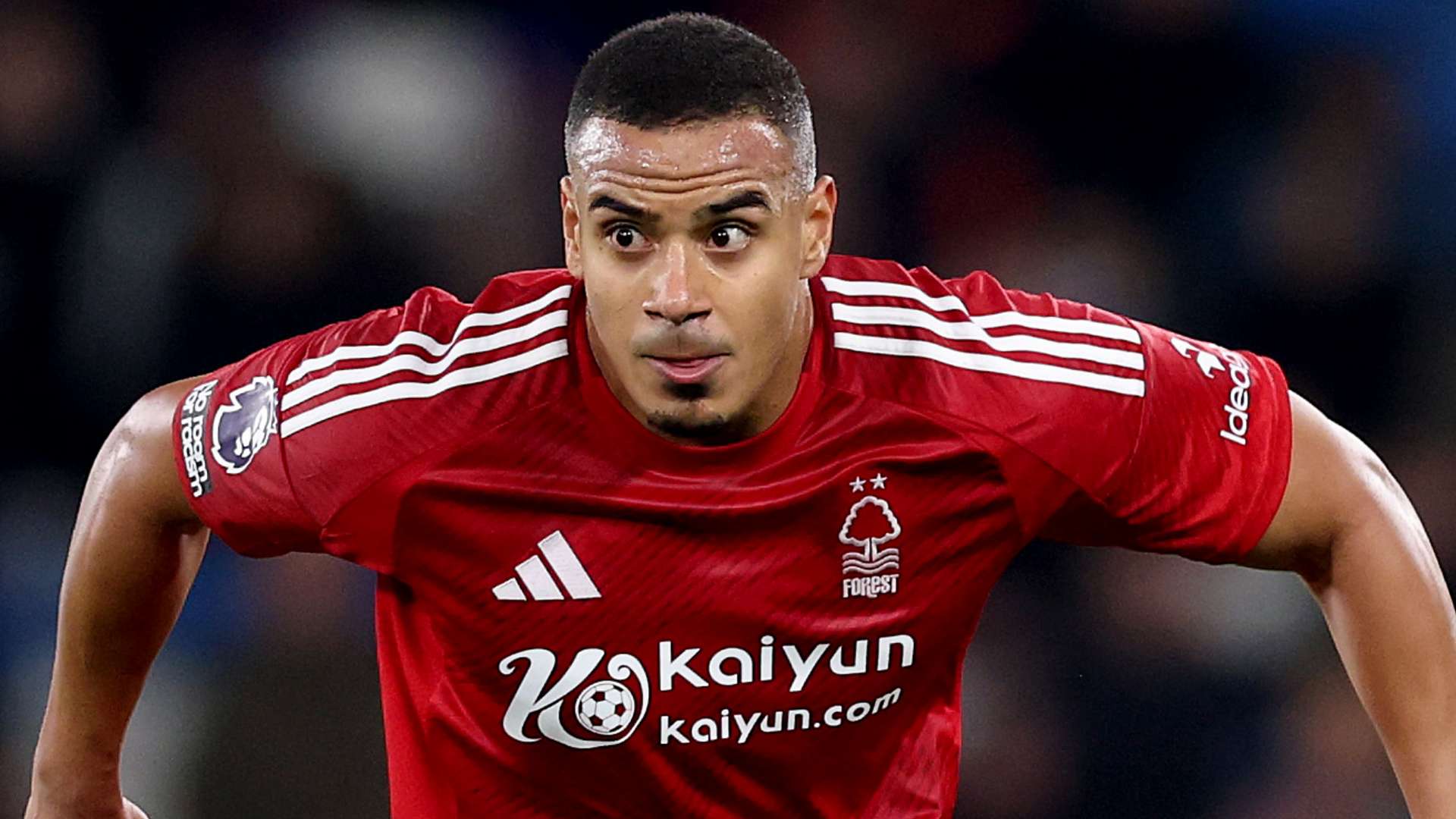 的世界中 的世界中