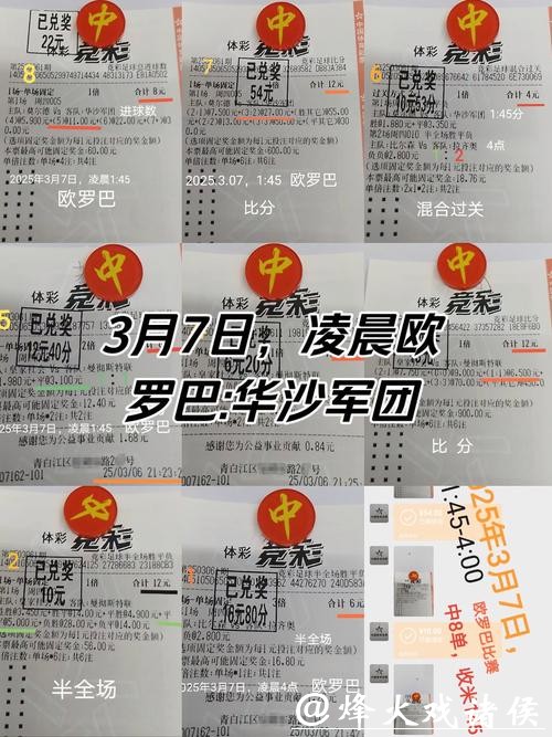 世界杯投注经典案例与成功策略 世界杯投注经典案例与成功策略